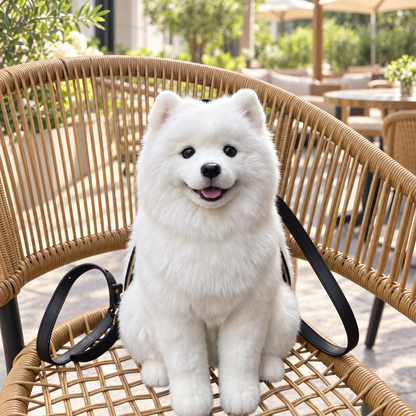Packpals - Dog BACKPACK
